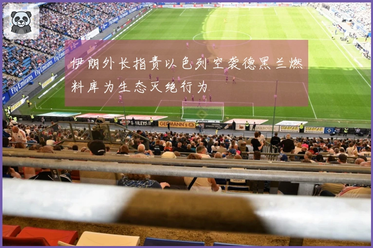 伊朗外长指责以色列空袭德黑兰燃料库为生态灭绝行为