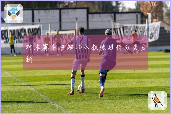 对本赛季中超16队教练进行分类分析