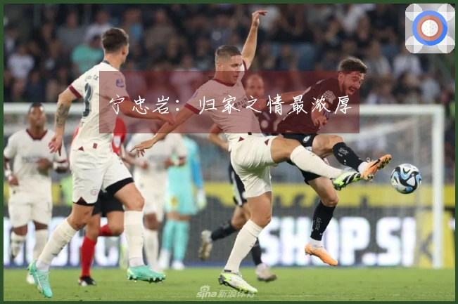 宁忠岩:归家之情最浓厚